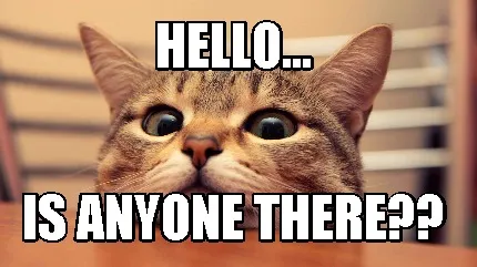 Funny Hello... Is anyone there??