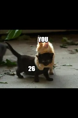You 26