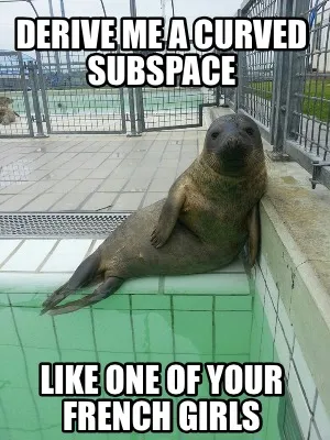 Funny Derive me a curved subspace Like one of your french girls