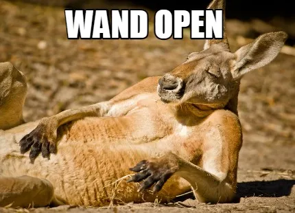 Wand open