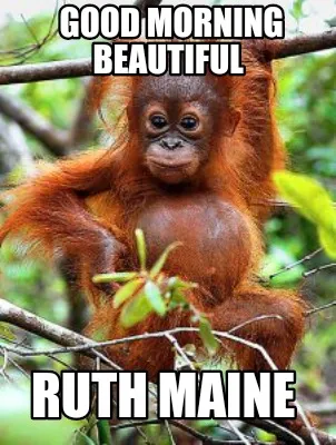 Funny Good morning beautiful Ruth Maine