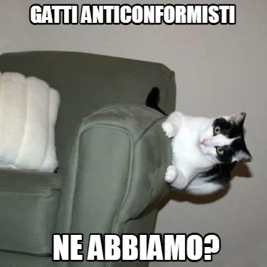 Funny gatti anticonformisti ne abbiamo?