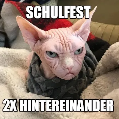Schulfest 2x Hintereinander