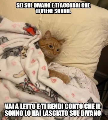 Funny sei sul divano e ti accorgi che ti viene sonno. vai a letto e ti rendi conto che