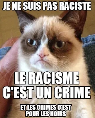 Je ne suis pas Raciste Le racisme c'est un crime Et les crimes c'est pour les no