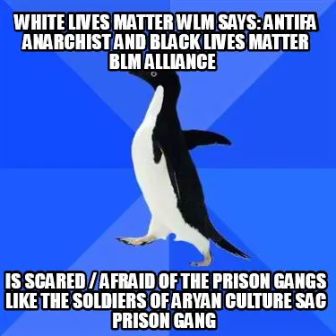 White Lives Matter WLM says: Antifa Anarchist and Black Lives Matter BLM Allianc
