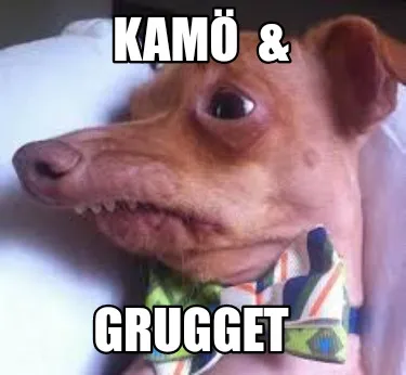 Funny Kamö & Grugget