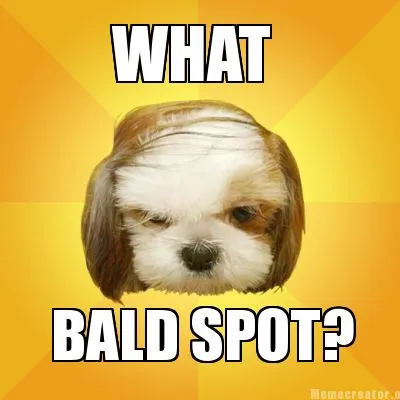 WHAT BALD SPOT?