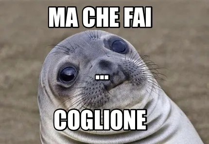 MA CHE FAI coglione …
