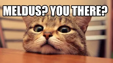 Funny Meldus? You there?