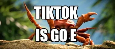 TikTok Is go e
