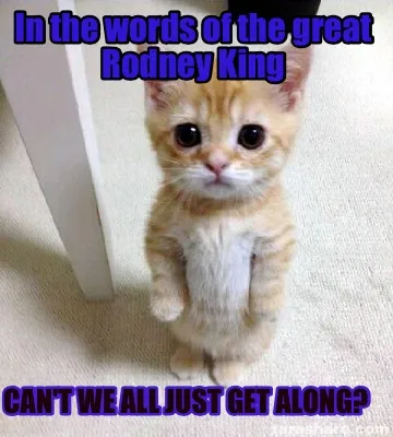 Funny In the words of the great Rodney King Can't we all just get along?