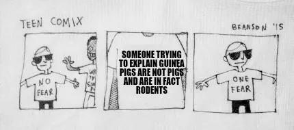 Funny someone trying to explain guinea pigs are not pigs and are in fact rodents