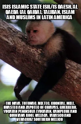ISIS Islamic State ISIL/IS Daesh, Al Qaeda (Al Qaida), Taliban, Islam and Muslim