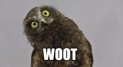 Funny Woot