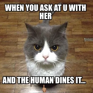 Funny When you ask at u with her And the human dines it… ????????