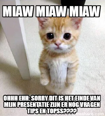 MIAW MIAW MIAW OHHH EHH: SORRY DIT IS HET EINDE VAN MIJN PRESENTATIE ZIJN ER NOG