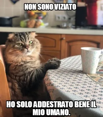 Non sono viziato ho solo addestrato bene il mio umano.