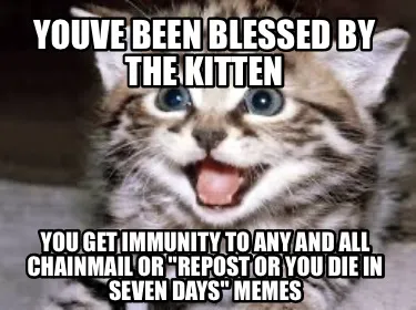 Funny YOUVE BEEN BLESSED BY THE KITTEN You get IMMUNITY to any and all chainmail or "R