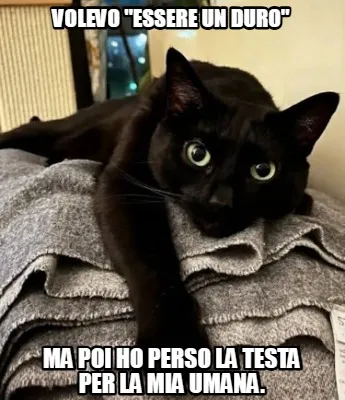 Funny volevo "essere un duro" ma poi ho perso la testa per la mia umana.