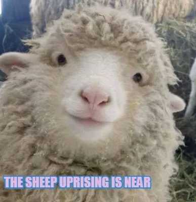 The Sheep Uprising is near