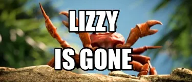 Lizzy Is gone