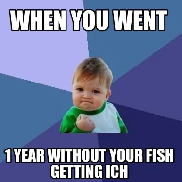 When you went 1 year without your fish getting ich
