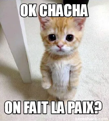 Funny Ok chacha on fait la paix?
