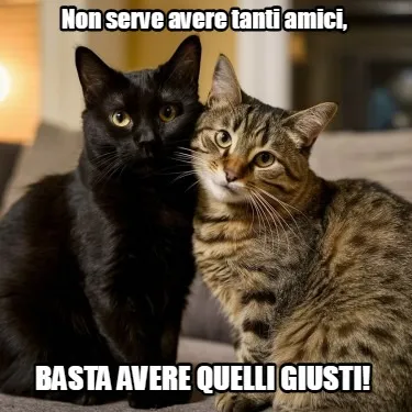 Non serve avere tanti amici, basta avere quelli giusti!