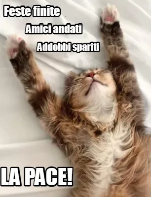 Feste finite Amici andati Addobbi spariti la pace!