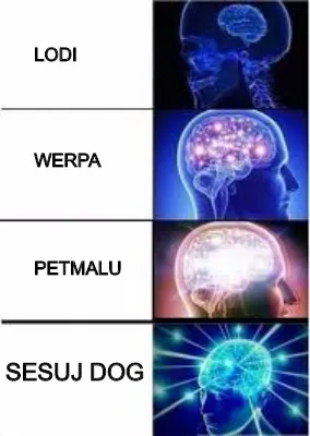 Lodi werpa petmalu SESUJ DOG