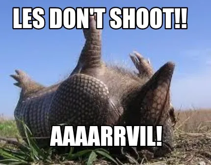 Les don't shoot!! Aaaarrvil!