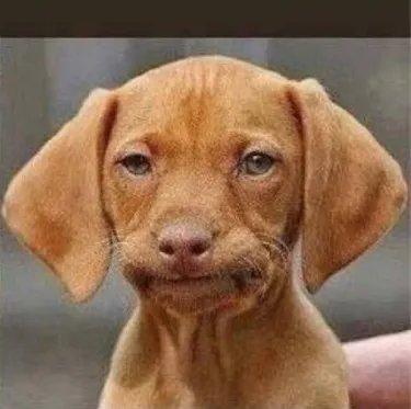 Funny just trying to... make you laugh