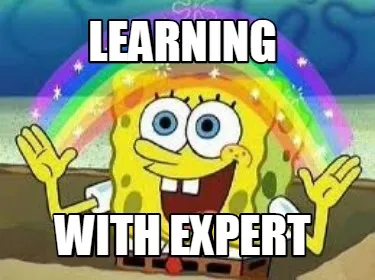 Learning with expert