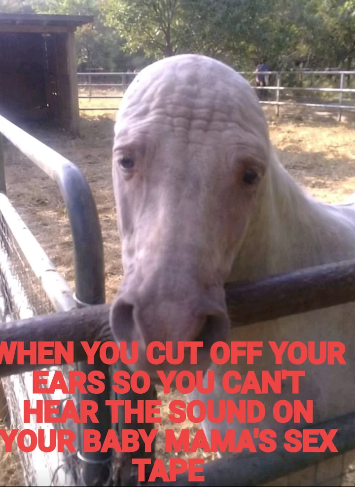 WHEN YOU CUT OFF YOUR EARS SO YOU CAN'T HEAR THE SOUND ON YOUR BABY MAMA'S SEX TAPE