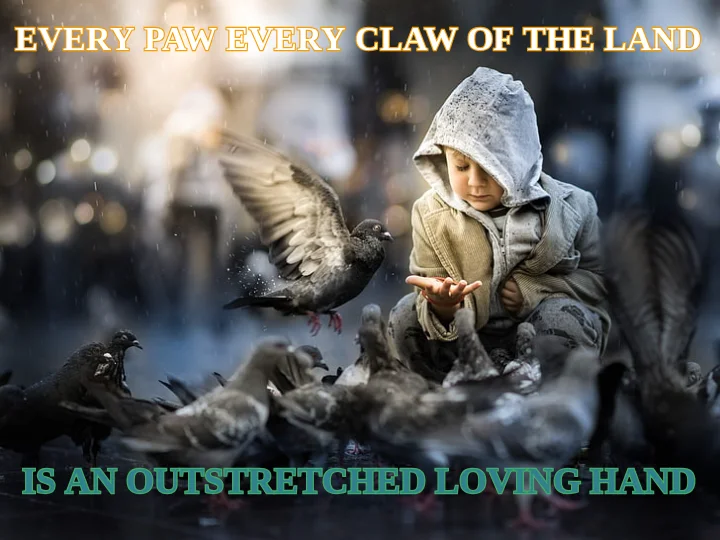 EVERY PAW EVERY CLAW OF THE LAND — IS AN OUTSTRETCHED LOVING HAND