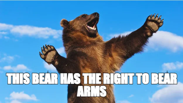 THIS BEAR HAS THE RIGHT TO BEAR ARMS