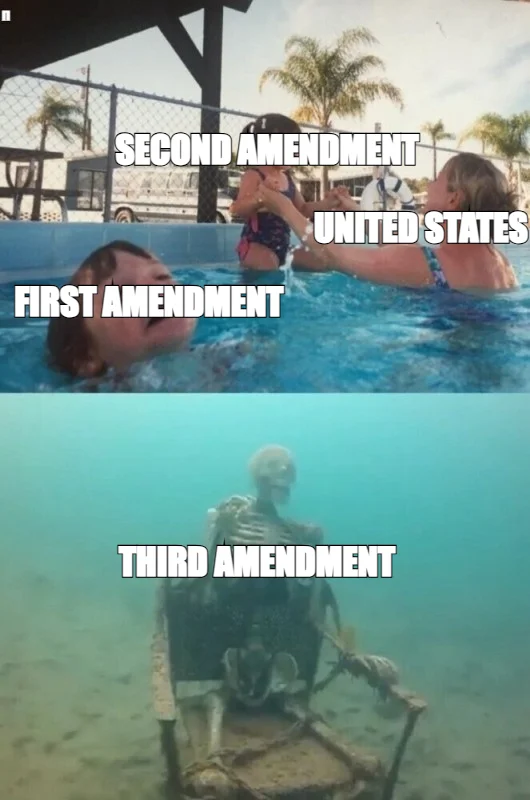 SECOND AMENDMENT — UNITED STATES — FIRST AMENDMENT — THIRD AMENDMENT