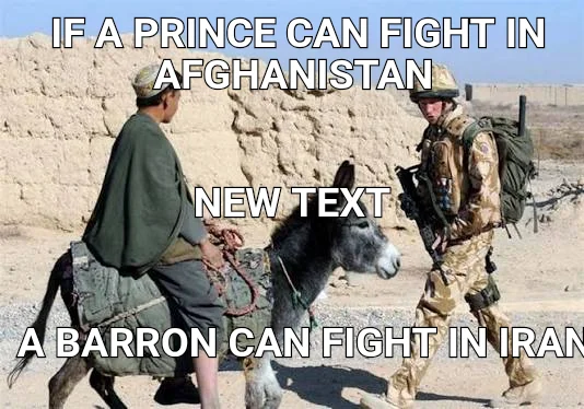 IF A PRINCE CAN FIGHT IN AFGHANISTAN  — A BARRON CAN FIGHT IN IRAN