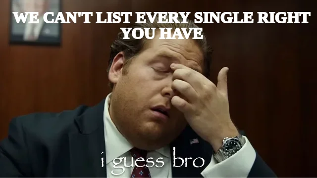 WE CAN'T LIST EVERY SINGLE RIGHT YOU HAVE