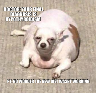 DOCTOR: YOUR FINAL DIAGNOSIS IS HYPOTHYROIDISM  — PT: NO WONDER THE NEW DIET WASNT WORKING
