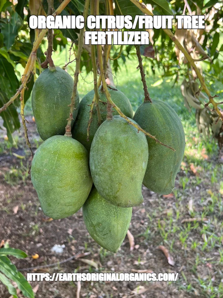 ORGANIC CITRUS/FRUIT TREE FERTILIZER — HTTPS://EARTHSORIGINALORGANICS.COM/