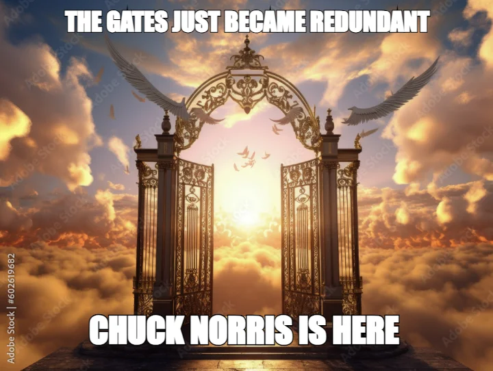 THE GATES JUST BECAME REDUNDANT — CHUCK NORRIS IS HERE