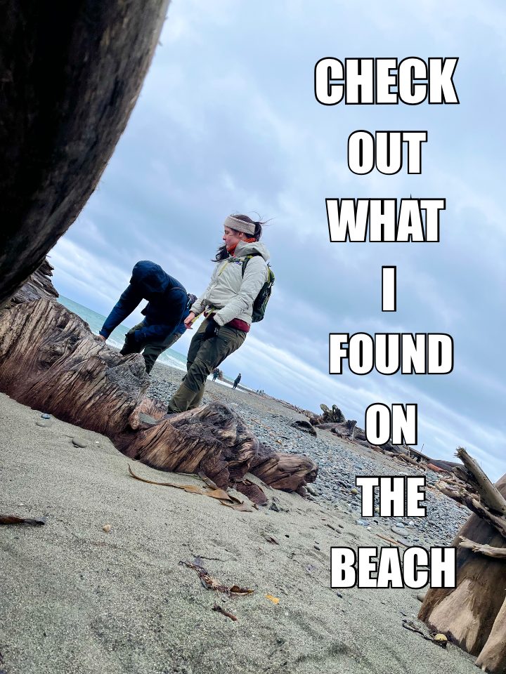 CHECK — OUT — WHAT — I — FOUND — ON — THE — BEACH