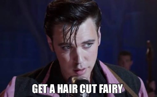 GET A HAIR CUT FAIRY