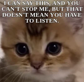 I CAN SAY THIS, AND YOU CAN'T STOP ME, BUT THAT DOESN'T MEAN YOU HAVE TO LISTEN.