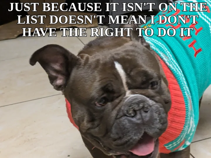 JUST BECAUSE IT ISN'T ON THE LIST DOESN'T MEAN I DON'T HAVE THE RIGHT TO DO IT