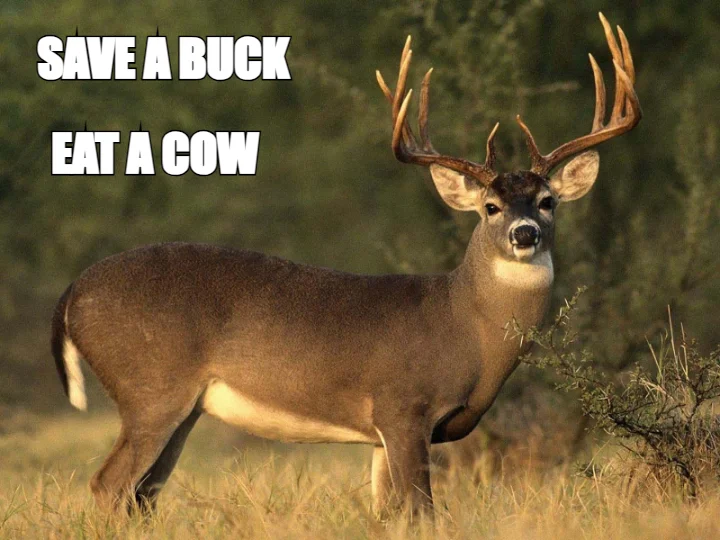 SAVE A BUCK — EAT A COW