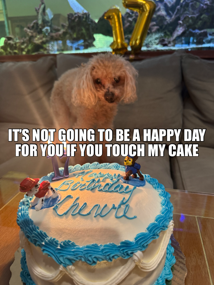 IT’S NOT GOING TO BE A HAPPY DAY FOR YOU IF YOU TOUCH MY CAKE