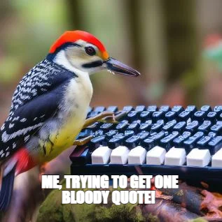 ME, TRYING TO GET ONE
BLOODY QUOTE!